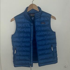 Patagonia Vibrant Blue Quilted Vest